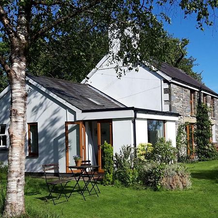 Nant Yr Onnen B&B And Holiday Cottage Tregaron Bagian luar foto
