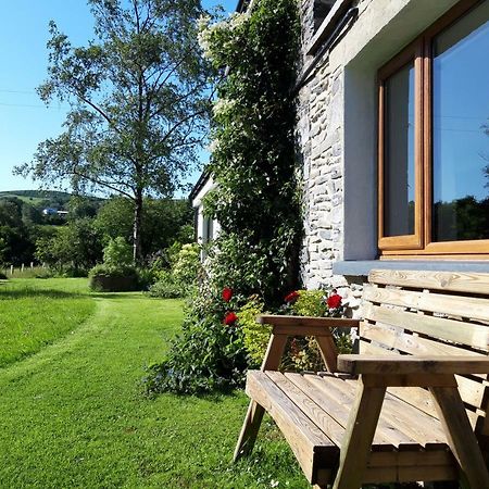 Nant Yr Onnen B&B And Holiday Cottage Tregaron Bagian luar foto