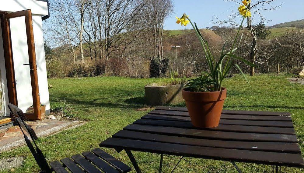 Nant Yr Onnen B&B And Holiday Cottage Tregaron Bagian luar foto
