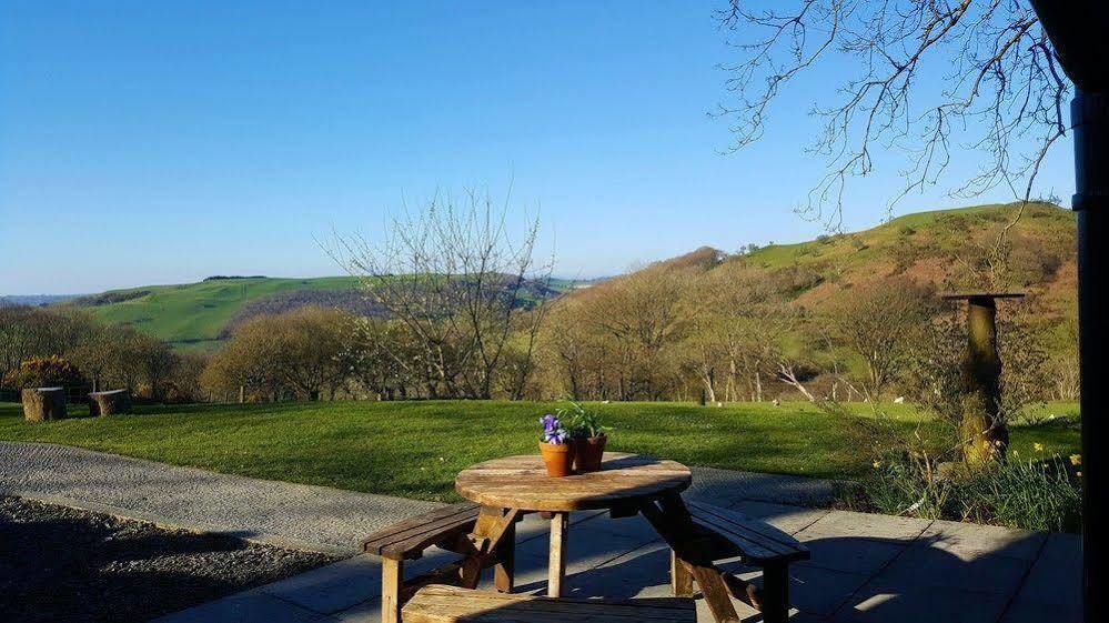 Nant Yr Onnen B&B And Holiday Cottage Tregaron Bagian luar foto